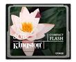 Pam. karta - KINGSTON 8 GB CF